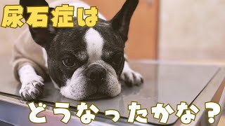 久しぶりの尿検査の結果聞いてきました