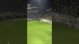 GOOOOOL DO PALMEIRAS! VITOR ROQUE! O TIGRINHO ABRE O PLACAR CONTRA O FLUMINENSE!