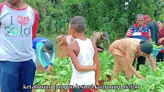  Ketahanan Pangan Lestari Kampung Afefbo