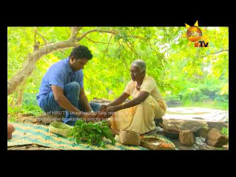 Hiru TV