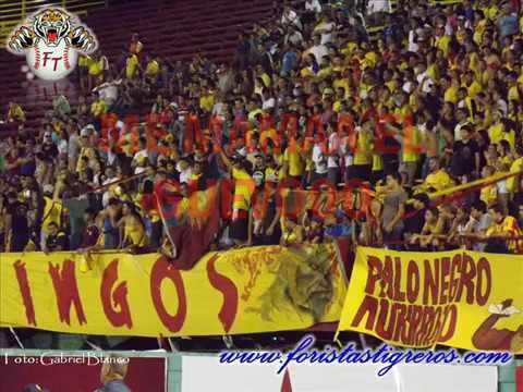 "Que te pasa granate todavía sigues esperando" Barra: Los Vikingos • Club: Aragua