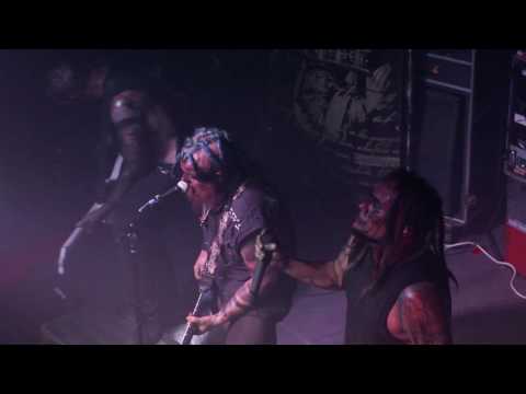 Dead Horse Trauma in Idaho Falls, ID