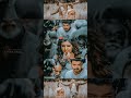 Aathi Ena Ni Kaththi Whatsapp Status Vijay Samantha
