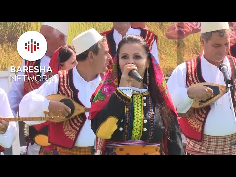 Aferdita Lala - Lule Permbi Vale