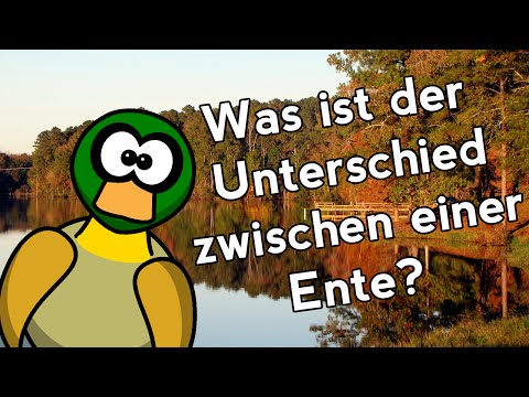, title : 'Was ist der Unterschied zwischen einer Ente... //NerdyBene'