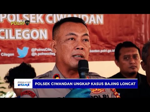POLSEK CIWANDAN POLRES CILEGON POLDA BANTEN UNGKAP KASUS PIDANA BAJING LONCAT