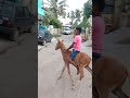 Tamil Pasanga 2