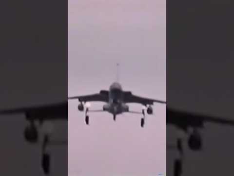 He Was the Bait!🫣 #shorts