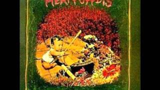 Meat Puppets - Love Offering