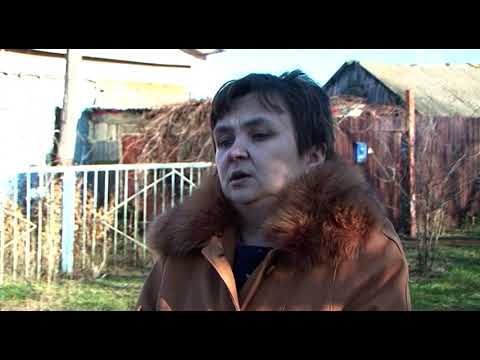 В Курской области травят семью из-за слухов о поедании собак