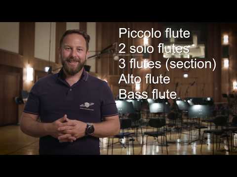 NEW: **Studio Series** VSL SYNCHRON-ized Special Editions: Woodwinds