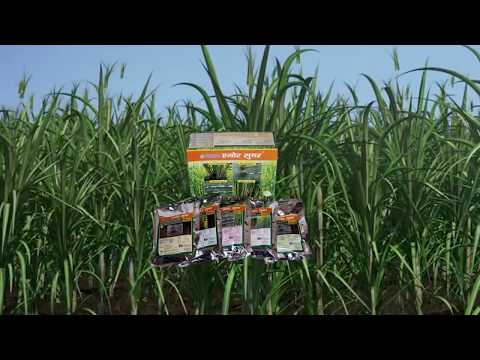 850g Harit Sanjivani Sure Sugar