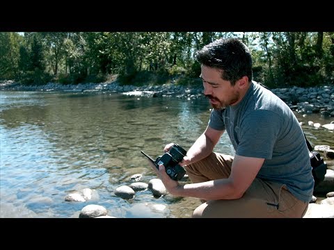 Canon Rebel SL2/200D Hands-On Field Test