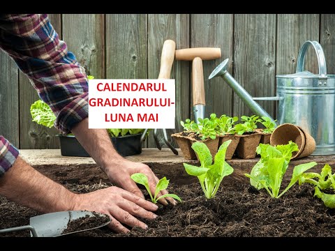 , title : 'Calendarul grădinarului: Ce plantăm și ce semănăm in luna MAI'