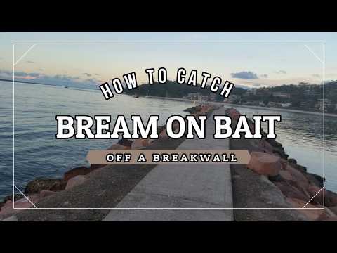 HOW  to CATCH BREAM on BAIT off a BREAKWALL (Basic bream fishing )