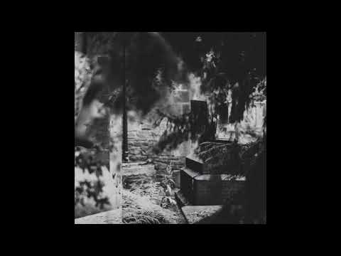 Immi Larusso - Loyalty