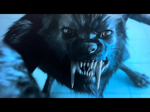 Werewolf Wednesday 
