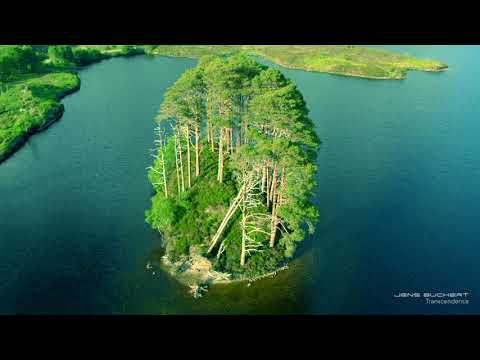 Jens Buchert  Transcendence