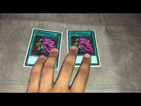 Top 16 NAWCQ- Salamangreat