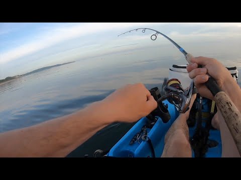 Fluke Fishing Methods for North Shore Ledges