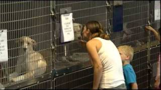 NNIR AUGUST 2010-Peninsula SPCA-YOUTUBE.mov
