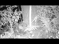 Virtual Tour Allows Rare Peek Into Beaver Enclosure