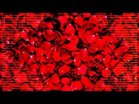 Mincha - Hearts & Pain