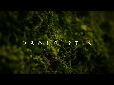 Drabn ptič - Bakalina Velika + Etno histeria world orchestra 2021