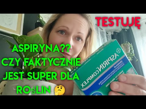 Aspiryna?Czy faktycznie ma nieziemskie działanie na rośliny 🌿 Czy to kit🤔 ja sprawdziłam...