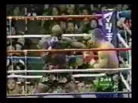 Ernesto Hoost Vs Mirko Crocop Filipovic