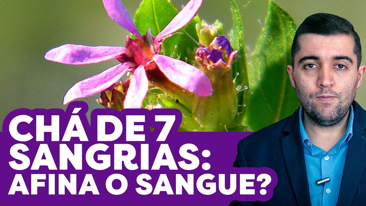 Sete-Sangrias: Planta Milagrosa Contra Má Circulação e Trombose. Transforme sua Saúde Vascular Agora