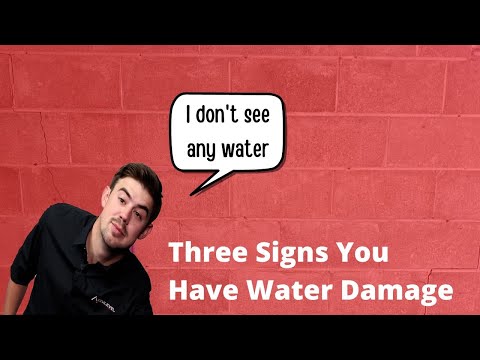 Three Signs You Have Water Damage.