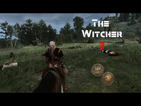 The Witcher 3 Guide Infinite Money Exploit Igrovoe Video - 
