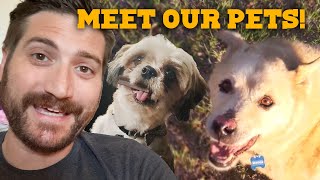 Welcome To Fur-Haus - Funhaus Pets BTS