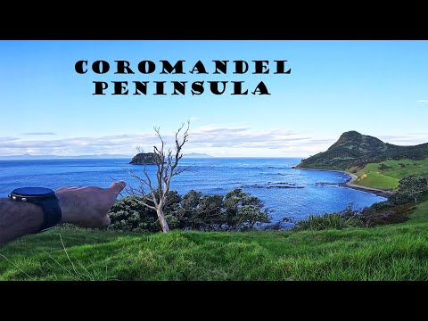 Coromandel Fishing Adventure | 3 Days Camping by the Sea