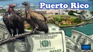 Vulture Hedge Funds Prey on Puerto Rico