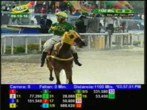 Resumen Domingo, 09 de Octubre de 2016 - La Rinconada