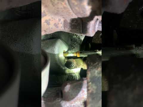EBPV oil leak