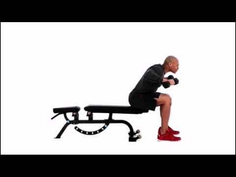 Seated Rear Lateral Raise Exercise