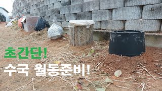 내년 수국꽃 많이 피우는 초간단 월동 보온방법