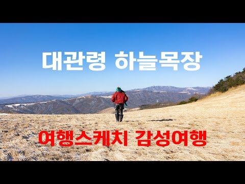 유튜버영상
