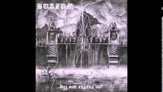 Burzum - Det som engang var (Full Album)[1993]