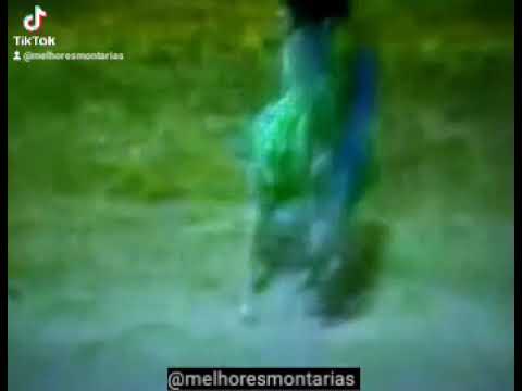 ZEIUS CRUZ FONSECA - RODEIO DE COLORADO 2002