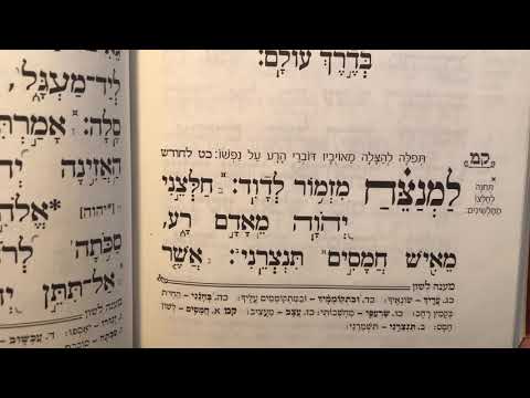 Tehillim psalm 140 תהלים קם