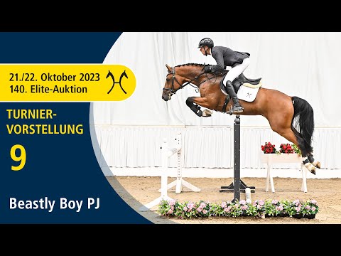 140th Elite-Auction - Oct. 21/22 - No. 9 Beastly Boy PJ by Balou du Rouet - Cassus - Clip 3