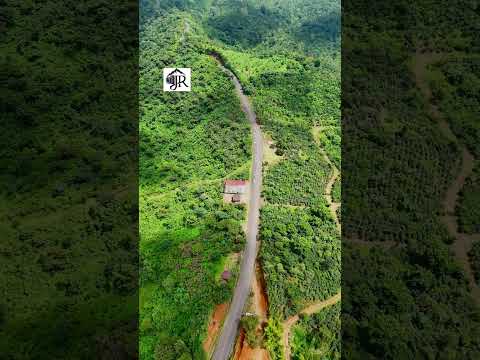 Canelío Finca Con Can, La Reforma, San Marcos.🇬🇹🇬🇹