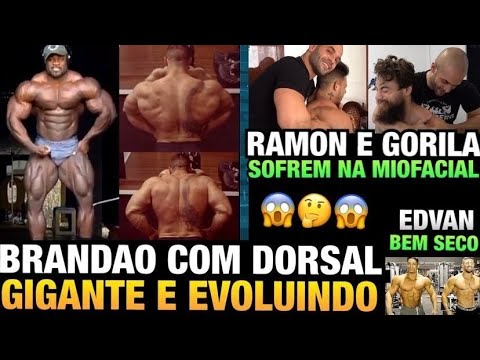 BRANDÃO DORSAL ATUAL - RAMON E GORILA SOFREM NA MIOFACIAL - EDVAN SECANDO - CURRY INCRIVEL E MAIS