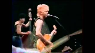 STRAY CATS - (She&#39;s) Sexy And 17