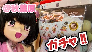 秋葉原で、『神田カレー街』ガチャ！引くもっち！#もっちぃ散歩