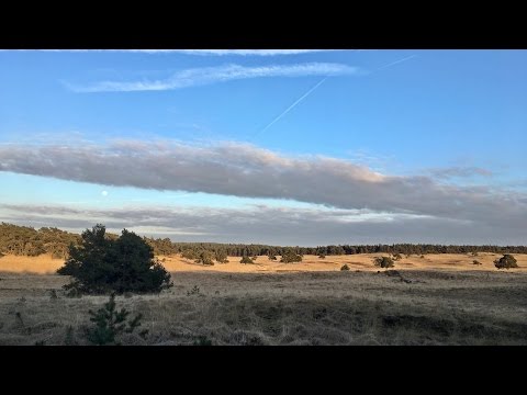 BuitenGewoon 20 mei 2017 | Veluwezoom